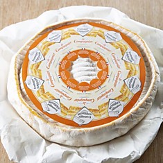 Бри Кампанье (7)